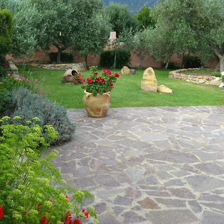 Bruna Solanas (Cagliari)